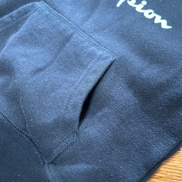 Champion black athletic hoodie sweatshirt. Logo on front. Size 24 Months. - Picture 5 of 8